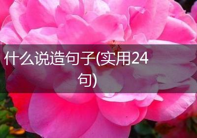 什么说造句子(实用24句)