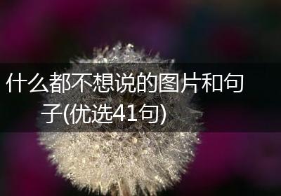 什么都不想说的图片和句子(优选41句)