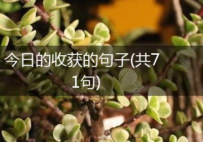 今日的收获的句子(共71句)