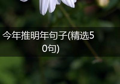 今年推明年句子(精选50句)