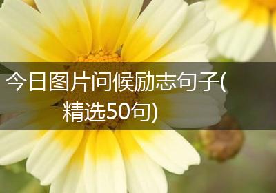 今日图片问候励志句子(精选50句)