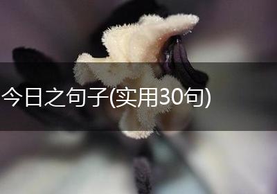 今日之句子(实用30句)