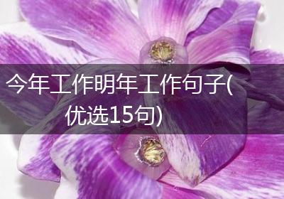 今年工作明年工作句子(优选15句)