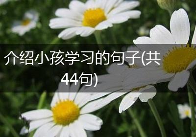 介绍小孩学习的句子(共44句)
