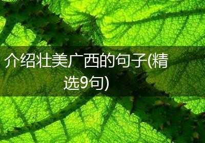 介绍壮美广西的句子(精选9句)