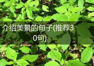 介绍美景的句子(推荐30句)