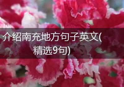 介绍南充地方句子英文(精选9句)