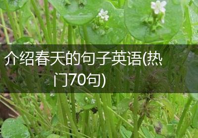 介绍春天的句子英语(热门70句)