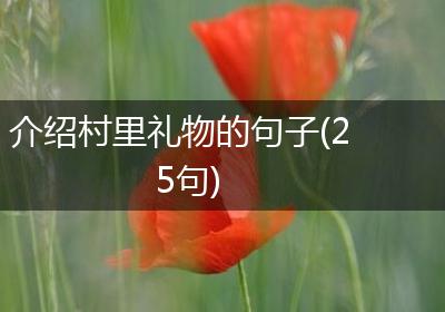介绍村里礼物的句子(25句)