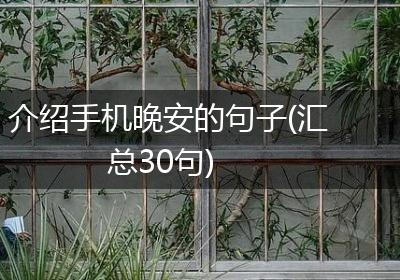 介绍手机晚安的句子(汇总30句)