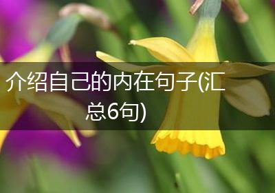 介绍自己的内在句子(汇总6句)