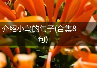 介绍小鸟的句子(合集8句)