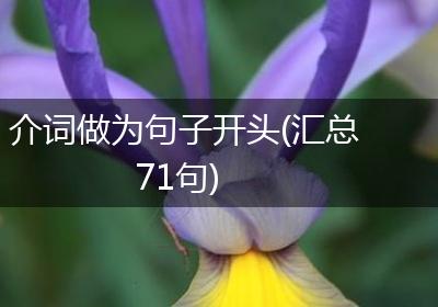 介词做为句子开头(汇总71句)