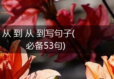 从 到 从 到写句子(必备53句)
