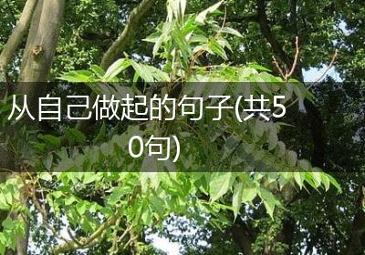 从自己做起的句子(共50句)