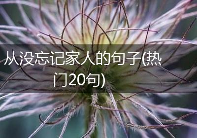 从没忘记家人的句子(热门20句)