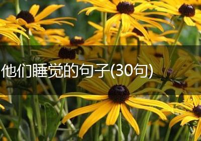 他们睡觉的句子(30句)