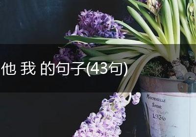 他 我 的句子(43句)