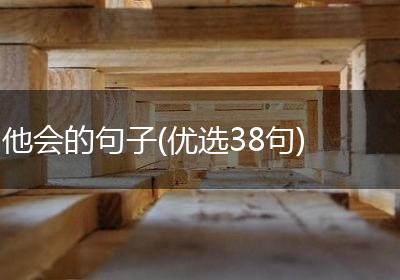 他会的句子(优选38句)