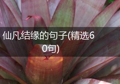 仙凡结缘的句子(精选60句)