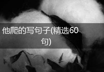 他爬的写句子(精选60句)