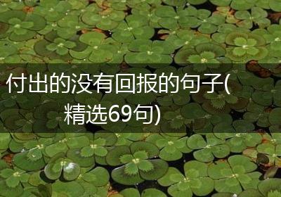 付出的没有回报的句子(精选69句)