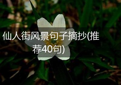 仙人街风景句子摘抄(推荐40句)
