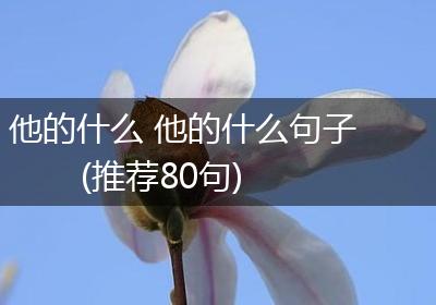 他的什么 他的什么句子(推荐80句)