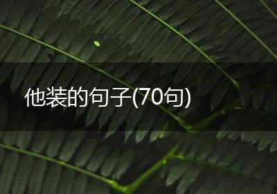 他装的句子(70句)