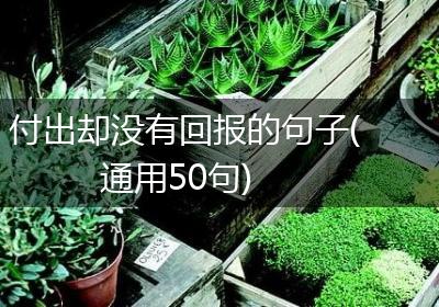 付出却没有回报的句子(通用50句)