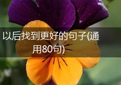 以后找到更好的句子(通用80句)
