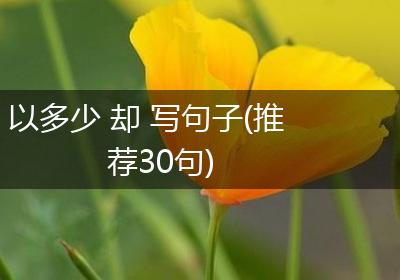以多少 却 写句子(推荐30句)