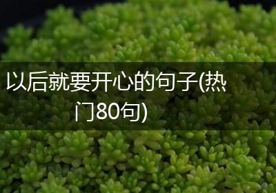 以后就要开心的句子(热门80句)