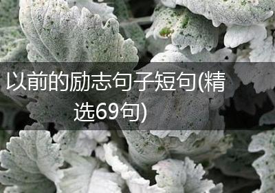 以前的励志句子短句(精选69句)