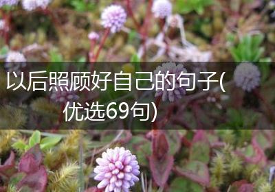 以后照顾好自己的句子(优选69句)