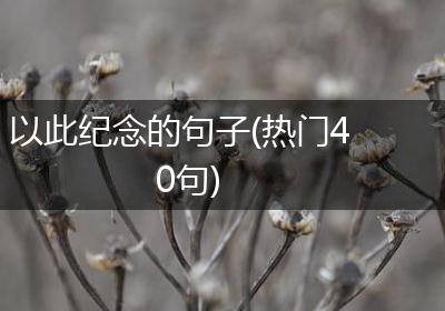 以此纪念的句子(热门40句)