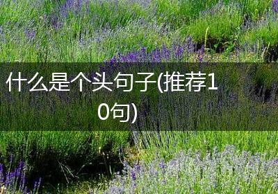 什么是个头句子(推荐10句)