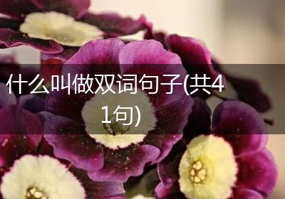 什么叫做双词句子(共41句)
