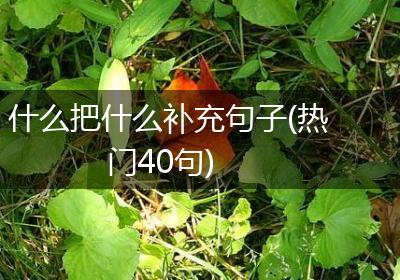 什么把什么补充句子(热门40句)