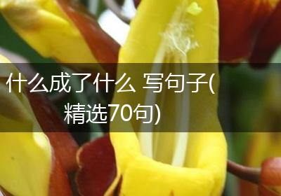 什么成了什么 写句子(精选70句)