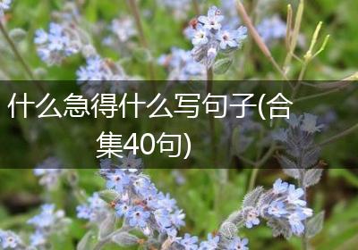 什么急得什么写句子(合集40句)