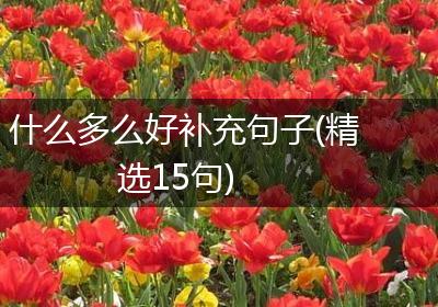 什么多么好补充句子(精选15句)