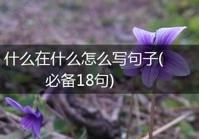 什么在什么怎么写句子(必备18句)