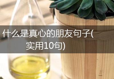 什么是真心的朋友句子(实用10句)