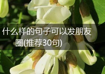什么样的句子可以发朋友圈(推荐30句)