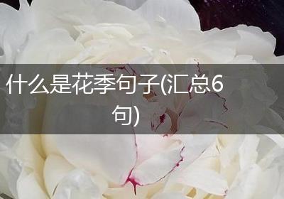 什么是花季句子(汇总6句)