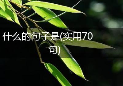 什么的句子是(实用70句)
