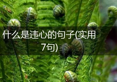 什么是违心的句子(实用7句)