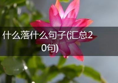 什么落什么句子(汇总20句)