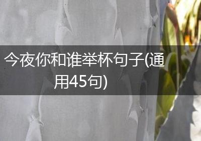 今夜你和谁举杯句子(通用45句)
